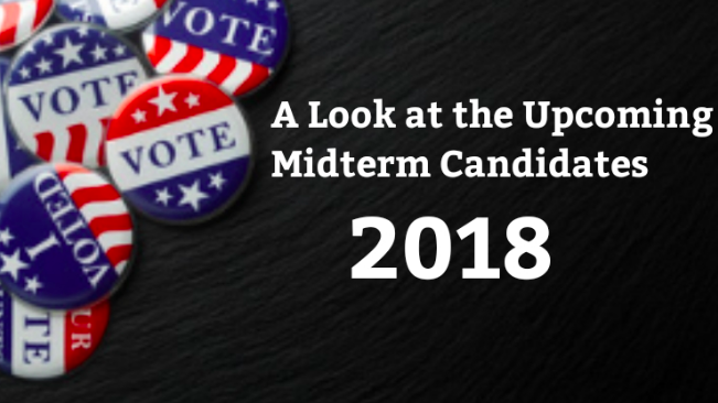 A Look at the Midterm Candidates