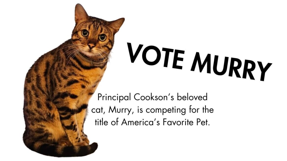 Princpal Cookson’s beloved cat, Murry, is competing for the title of America’s Favorite Pet